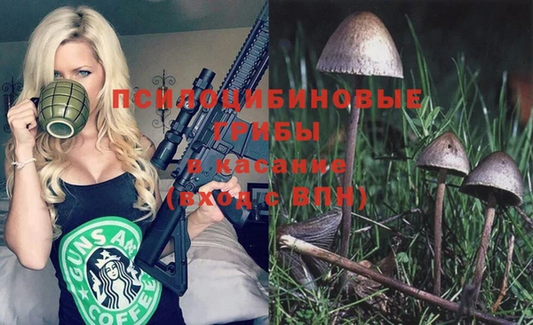 эйфоретик Кулебаки