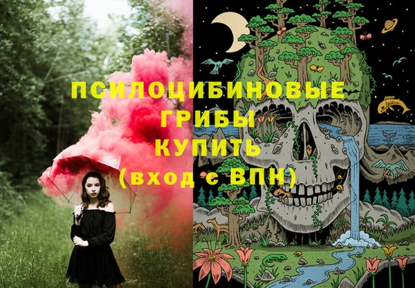2c-b Кукмор