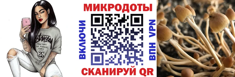 Галлюциногенные грибы прущие грибы  Купить где  Солигалич 