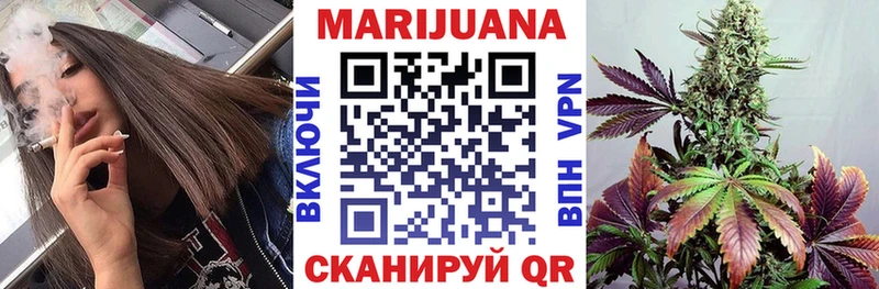 Купить где  Солигалич  Бошки Шишки сатива 